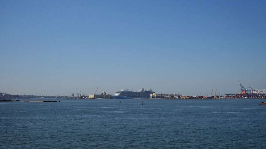 NYC_2024-02-09 11-12-43_RX_08315